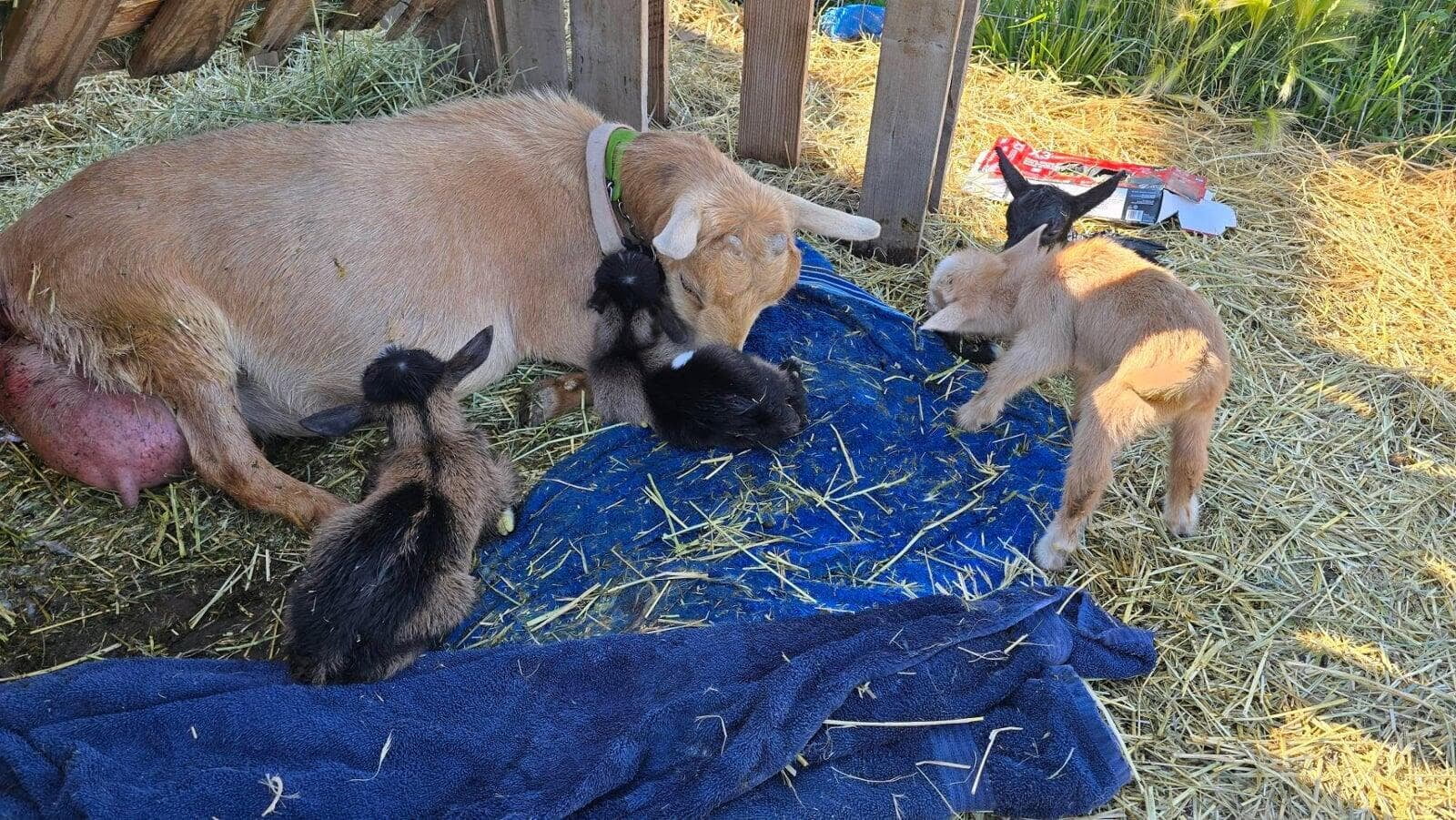 We Were Right: